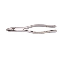 Woodpecker Extracting Forcep 1